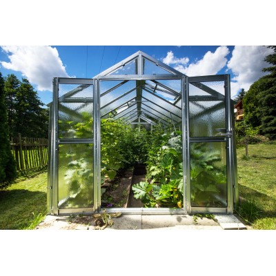 Gewächshaus Expert S