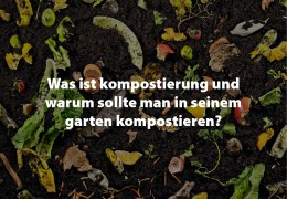 Teil 1: Was ist Kompostierung und warum sollte man in seinem Garten kompostieren?